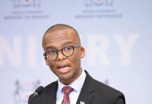 Is Botswana’s Economic Transformation Plan a Desperate Measure Or A Call for Citizens to Rise to the Occasion?