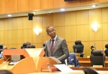 VP Gaolathe Presents Botswana’s P514 Billion Economic Transformation Plan to Parliament