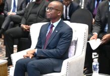 Botswana’s Financial System Remains Resilient Despite Emerging Risks- FSC