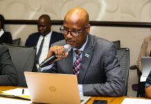 Botswana Launches Green Value Chain Initiative to Drive Jobs and Sustainable Growth