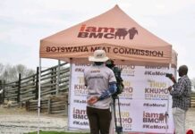 BMC Tannery Nears Completion, Set to Boost Botswana’s Leather Value Chain