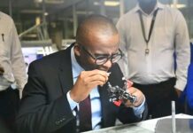 Why Botswana’s Economic Transformation Matters Now