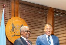 President Boko and Aliko Dangote Discuss Industrialisation and Investment Opportunities in Botswana