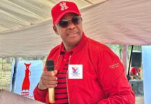 BDP President Mpho Balopi to Plead in CEDA Fraud and Money Laundering Case